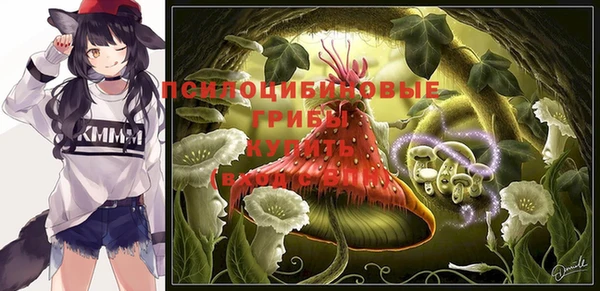 spice Бронницы