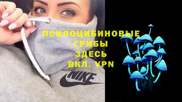 spice Бронницы