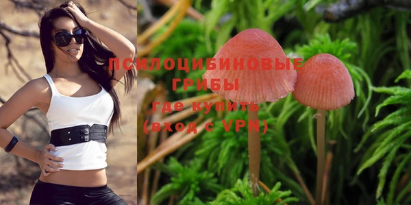героин Бородино