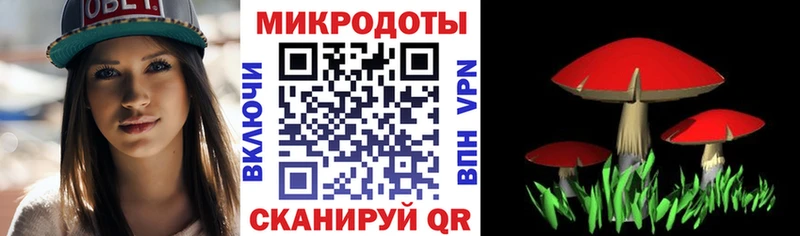 OMG как войти  Кораблино  Галлюциногенные грибы мицелий  купить наркотики цена 